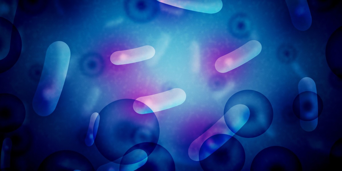 Erectile Dysfunction Treatments: A Complete Study Report