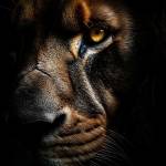 SANJAY KS Profile Picture