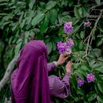 Aaisha 94 Profile Picture