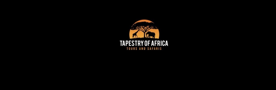 Tapestry of Africa Cover Image