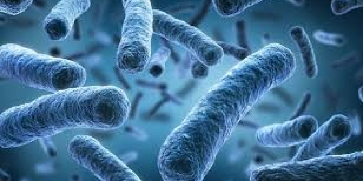 Bacillus Market [Latest Reports] Business Analysis, Corporate Strategies and Emerging Trends [2025-2034]