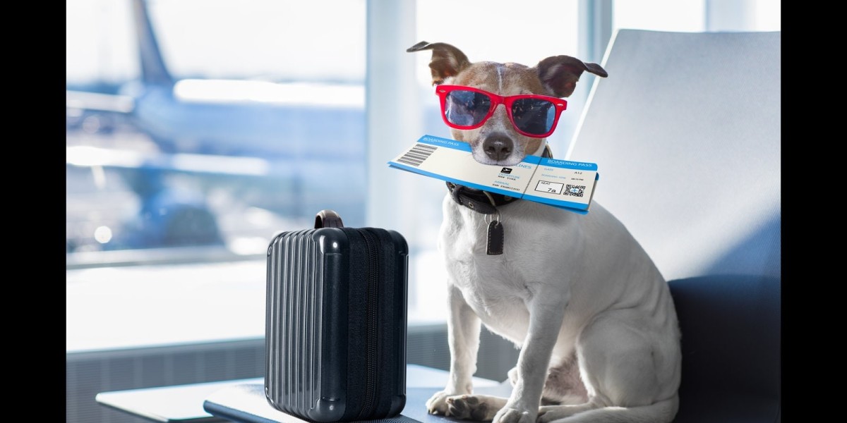 寵物移民加拿大：為毛孩子打造無憂新生活