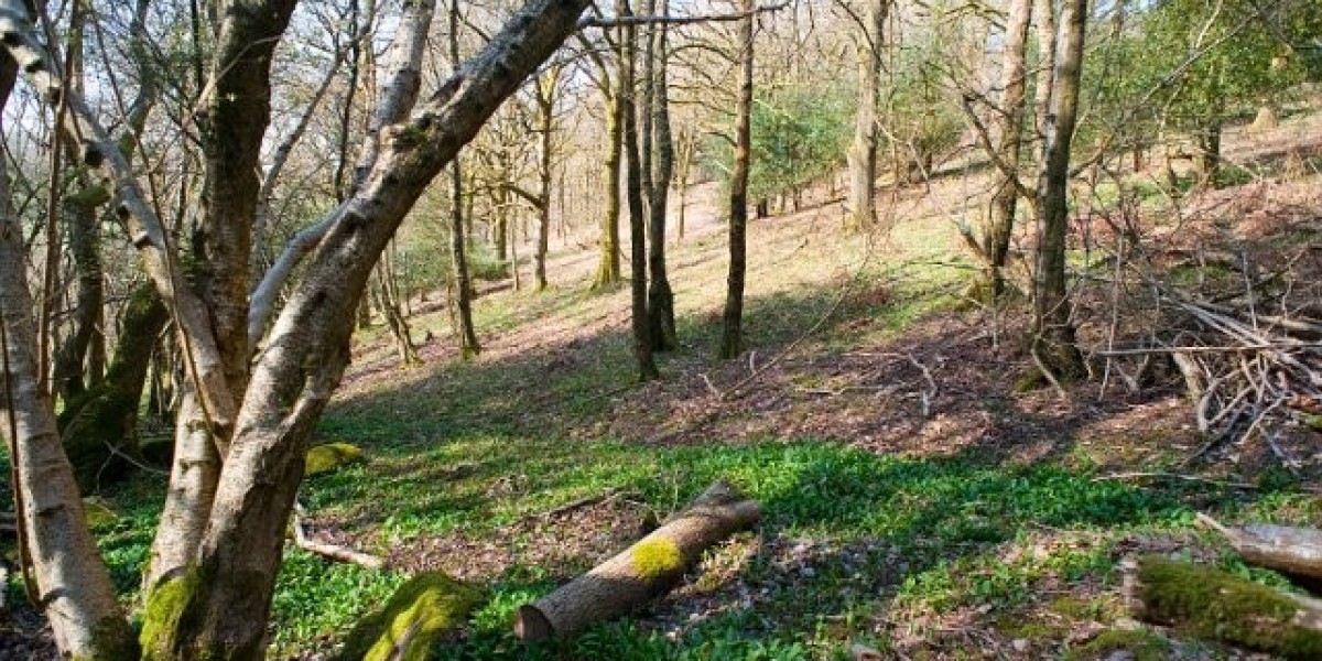 Fair Go Casino Sign Up and Claim A$1000 Bonus