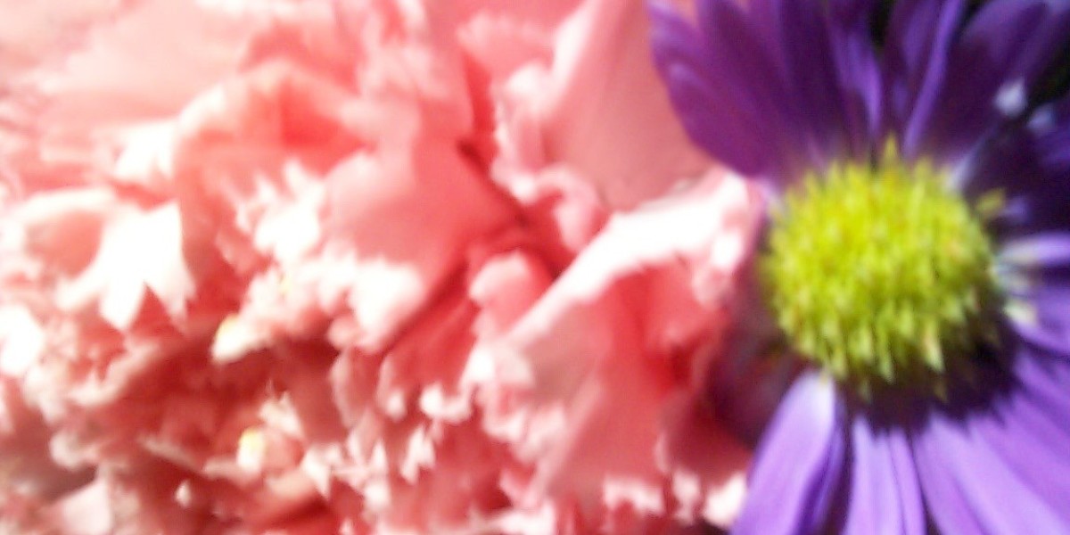 SkyCrown Online Casino Login & Get Bonus 120% + 125 FS