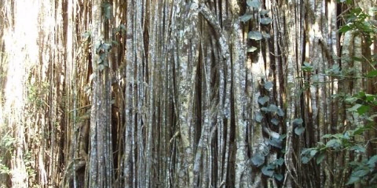 Secure Online Games and Real Cash Action