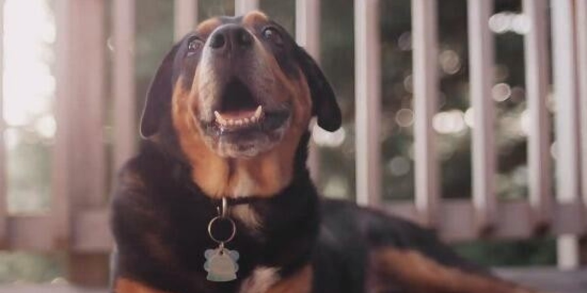 Xyz089: Stories From a Stripchat Profile