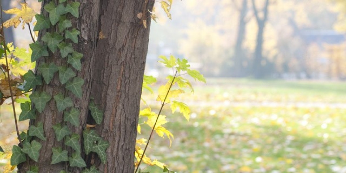 Bowling Gold Coast Hotel & Casino in Las Vegas, NV