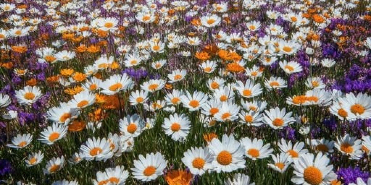 Bucs crank it toward 11 with the signing of Antonio Brown