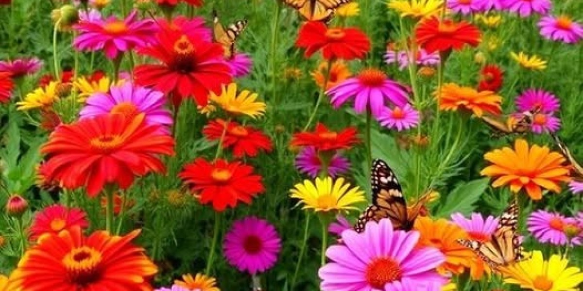 Encouraged Zach LaVine Exchange Sends $120 Million Prior Steals Chief in the direction of Bulls