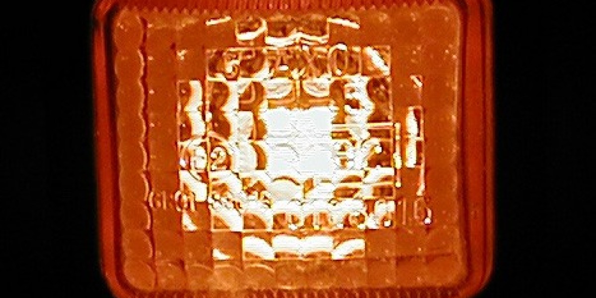 Best Online Casinos with No Deposit Bonuses in November 2025