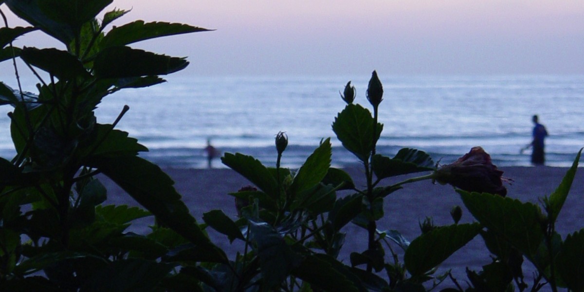 Joe Fortune Casino Review Expert & Player Ratings 2025