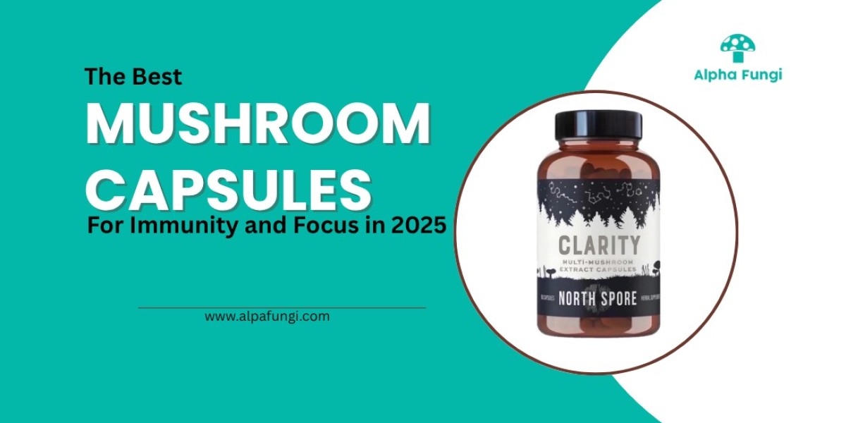 The Best Mushroom Capsules for Immunity and Focus in 2025