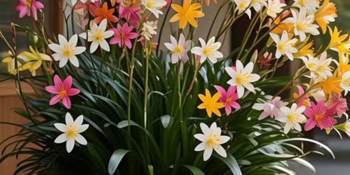 Michael Conforto Will make a Good deal of Experience for Sox