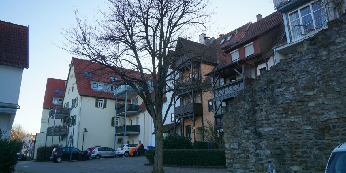Immobilienmakler Balingen: So finden Sie den perfekten Partner