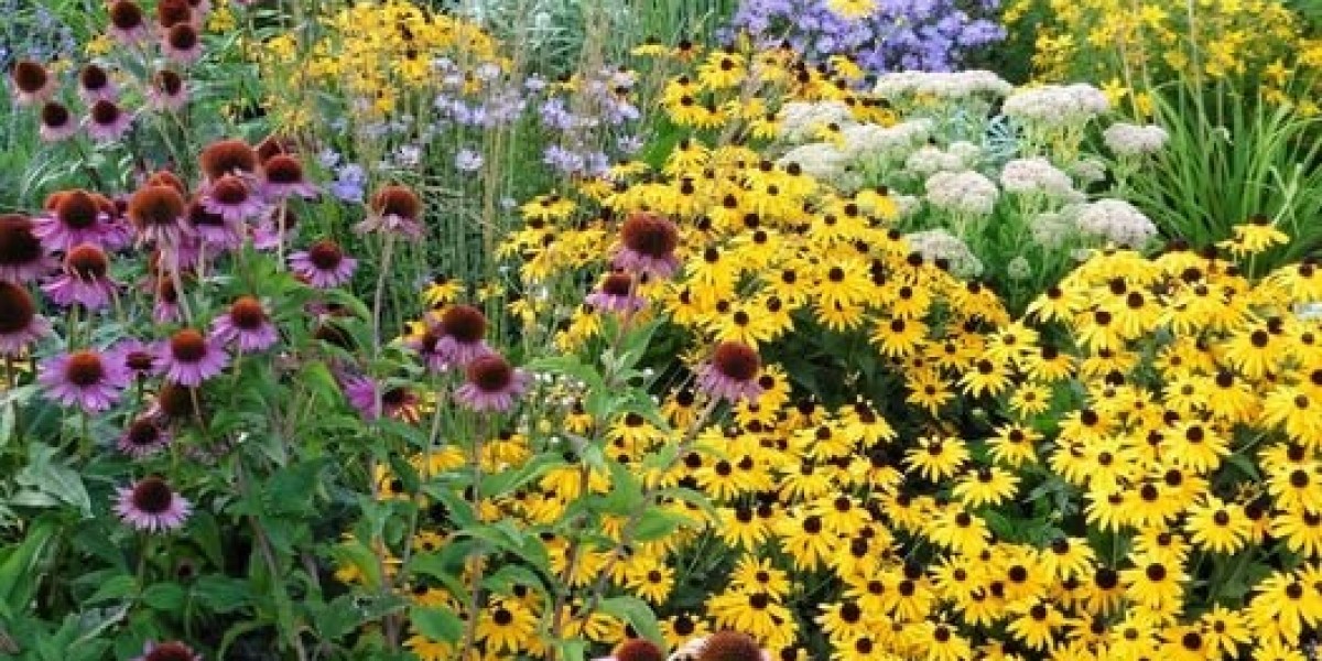 NFL announces 2025 London game titles and 2 groups are upon Billsplan