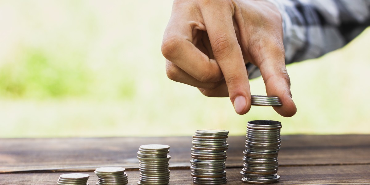 How The Top Mutual Fund Software Enables MFDs to Offer Fixed Income Investments?