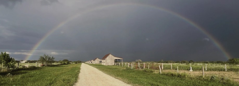 Rocking M Ranch Cover Image