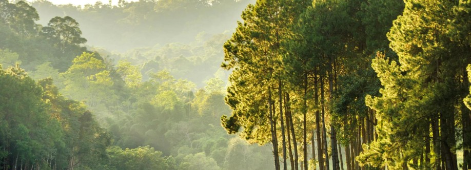 drelizabeth blackburn Cover Image