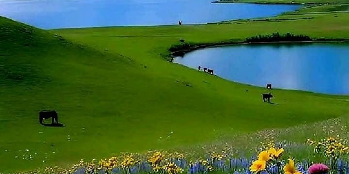 Hamilton County and Cincinnati Bengals arrive toward an arrangement upon Paycor Stadium renovations