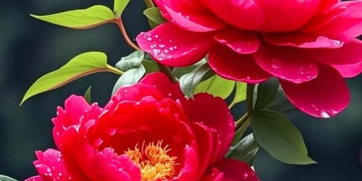 Practically nothing's positive for Jonathan Mingo, may be competing for roster desired destination inside 2025