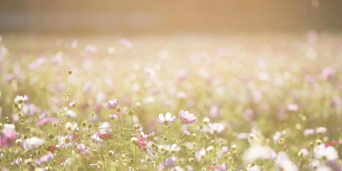 How to Farm Divine Orb Efficiently | u4gm Tips