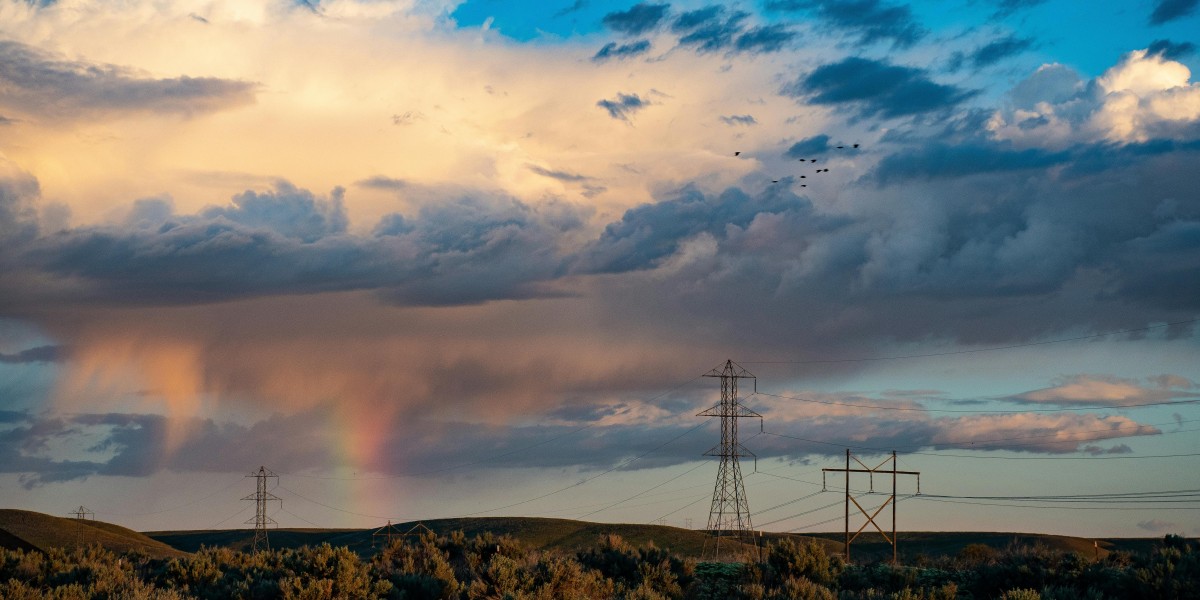 U4GM What Guide to Last of the Druids Builds PoE 2