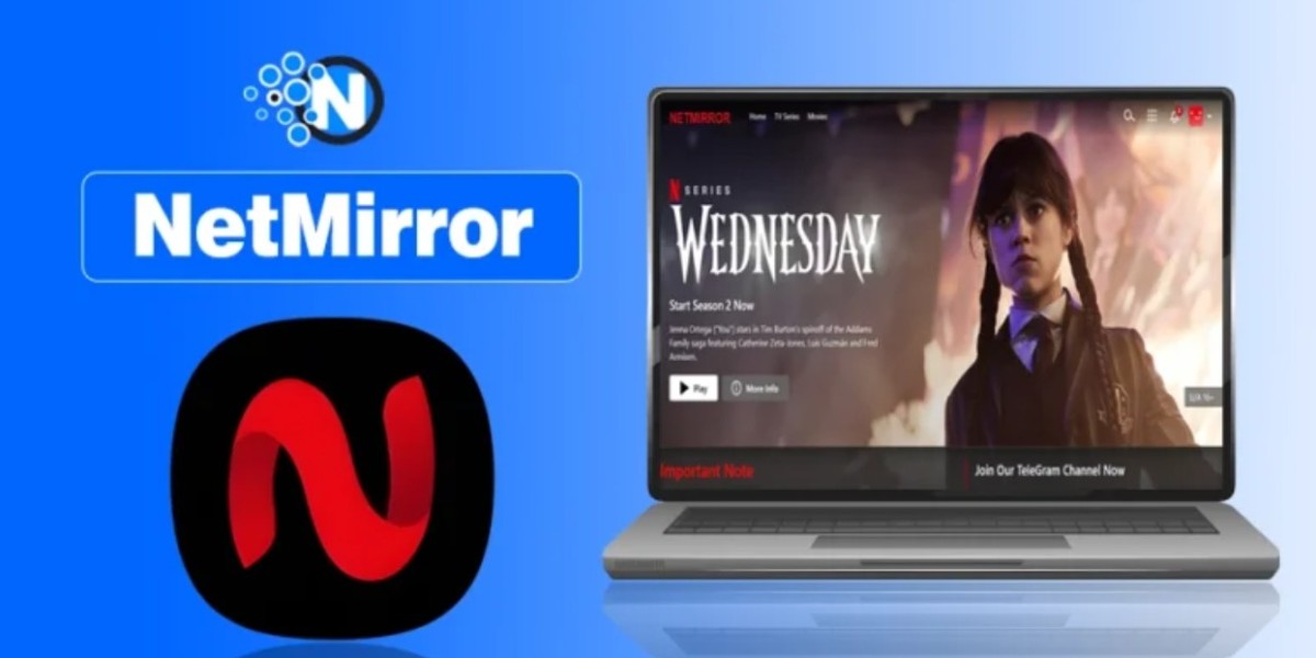 NetMirrorApp Explained: Free Streaming App or Security Threat in 2025?