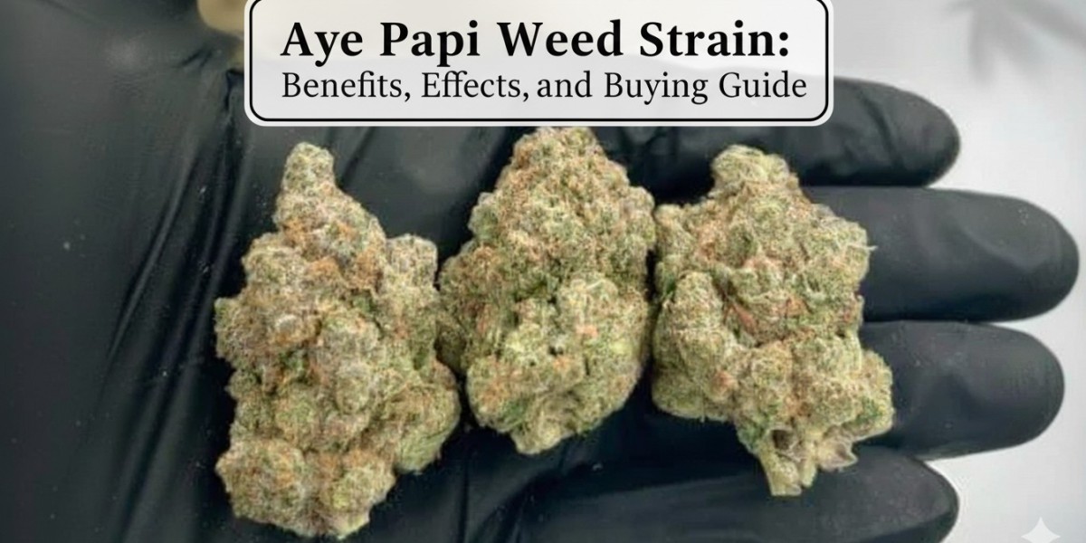 Aye Papi Weed Strain: Benefits, Effects, and Buying Guide