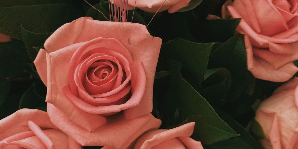 u4gm How to Find the Most Broken POE2 Builds Early Guide