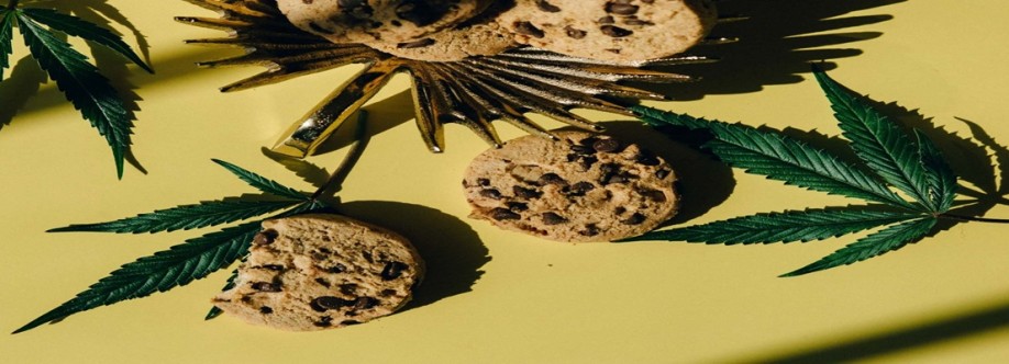 Universal Mattress Cover Image