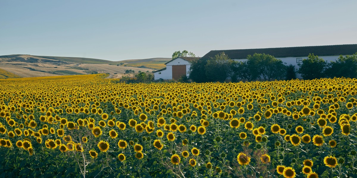 Which maps or bosses are best for farming Armourer’s Scrap?