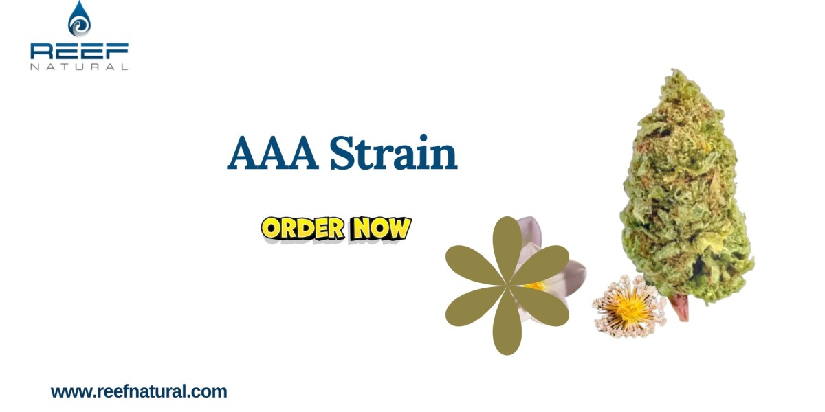 AAA Strain – High-Quality Cannabis Flower Online