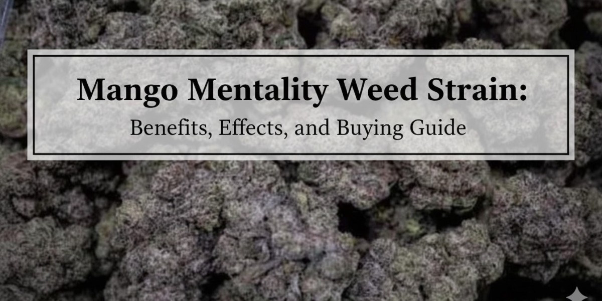 Mango Mentality Weed Strain: Benefits, Effects, and Buying Guide