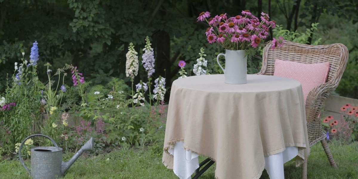 Market surge? Latest price fluctuations of Petition Splinter x 50