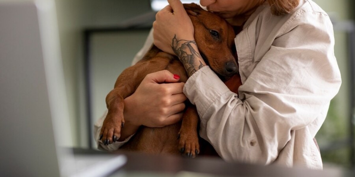 Is Fenbendazole Safe?