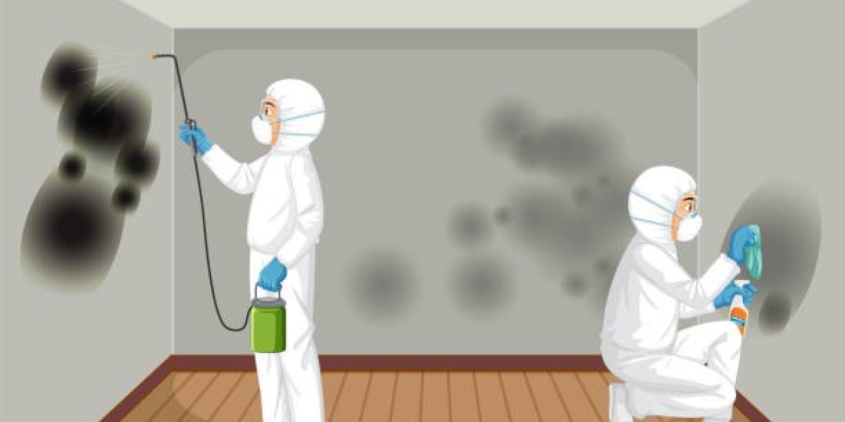 Trusted Mould Removal Specialists for Safe and Lasting Results