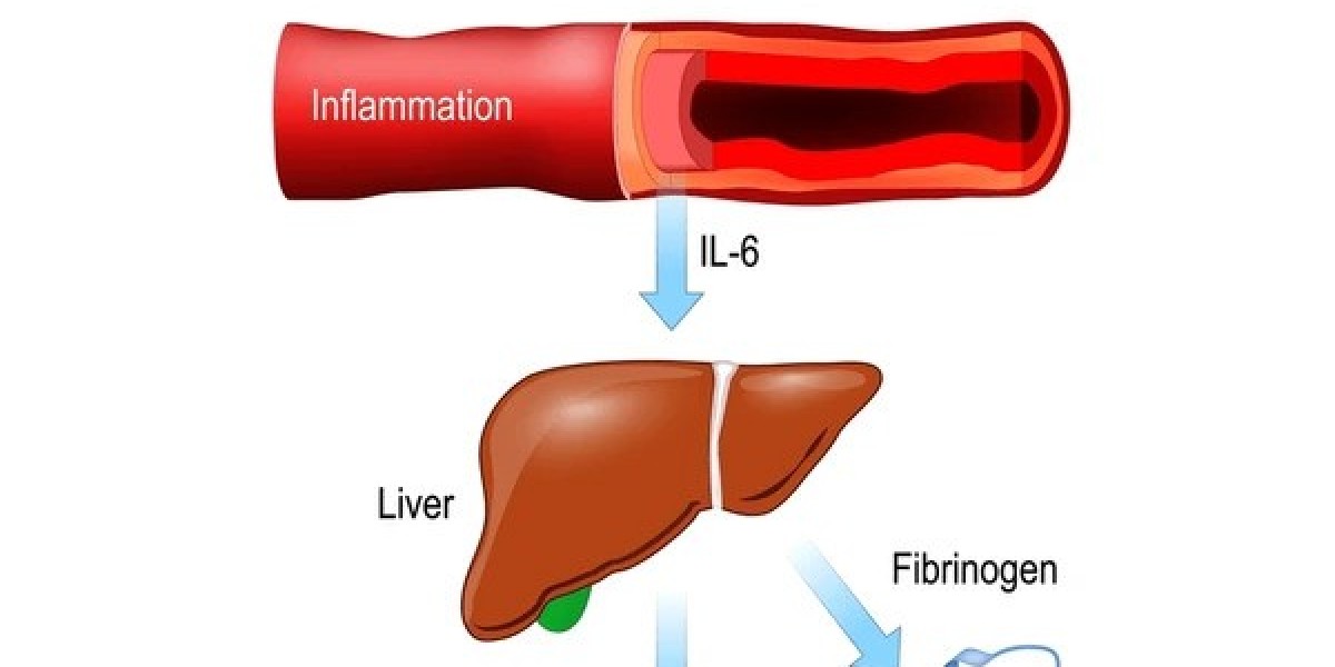 How CRP Testing Helps in Cardiovascular Risk Assessment