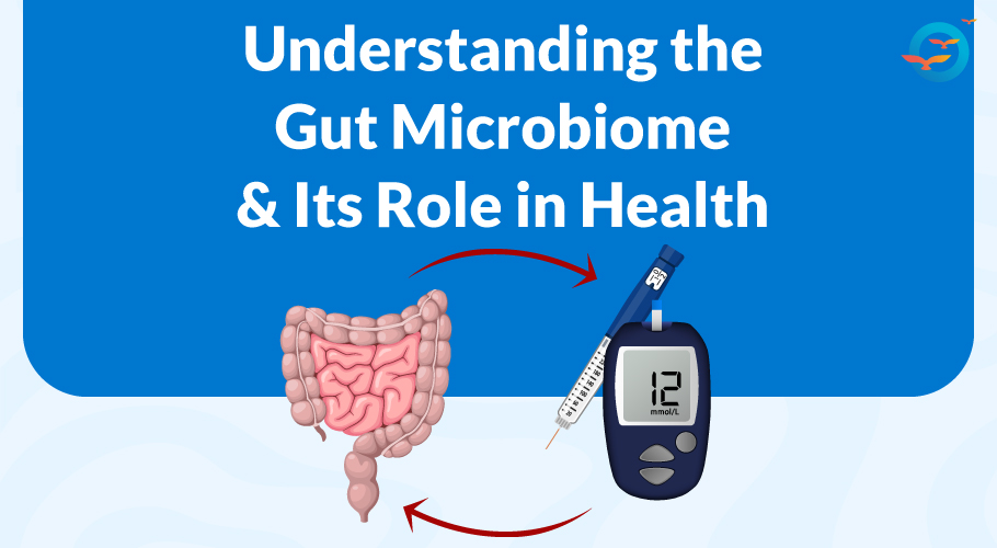How the Gut Microbiome Affects Type 2 Diabetes and Health? - Freedom from Diabetes