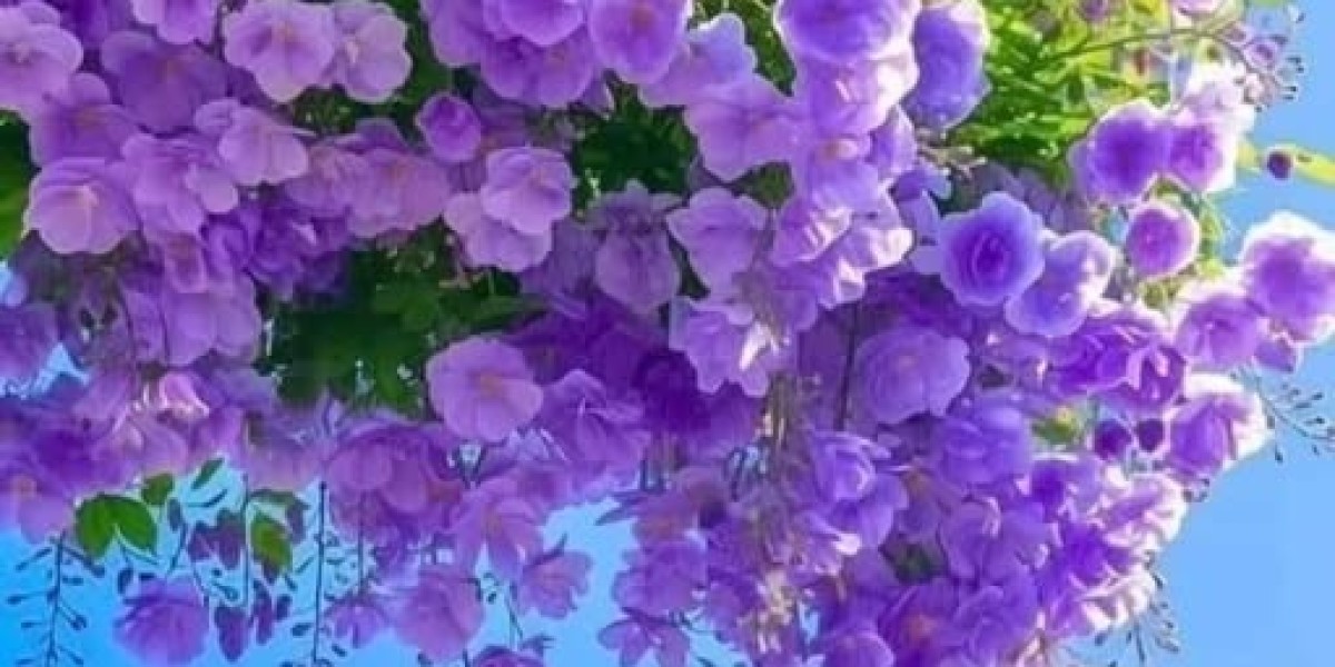 Poll: Are by yourself delighted with Houston selecting Nick Caley?