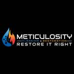 Meticulocity Cleaning profile picture