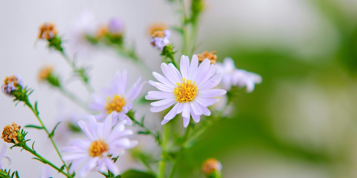 u4gm Tips: How to Efficiently Farm Divine Orbs