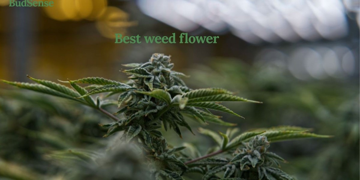 Best Weed Flower Canada | Top Cannabis Brands | MyBudSense