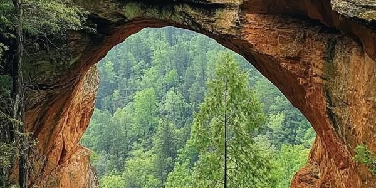 Joyful Birthday Jose Bautista