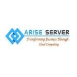 Arise Server profile picture
