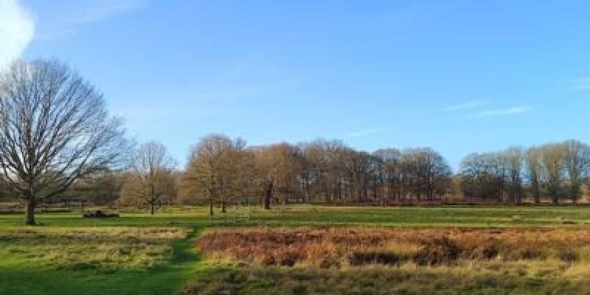 Enlightened Teacher: Guiding Souls Beyond Knowledge