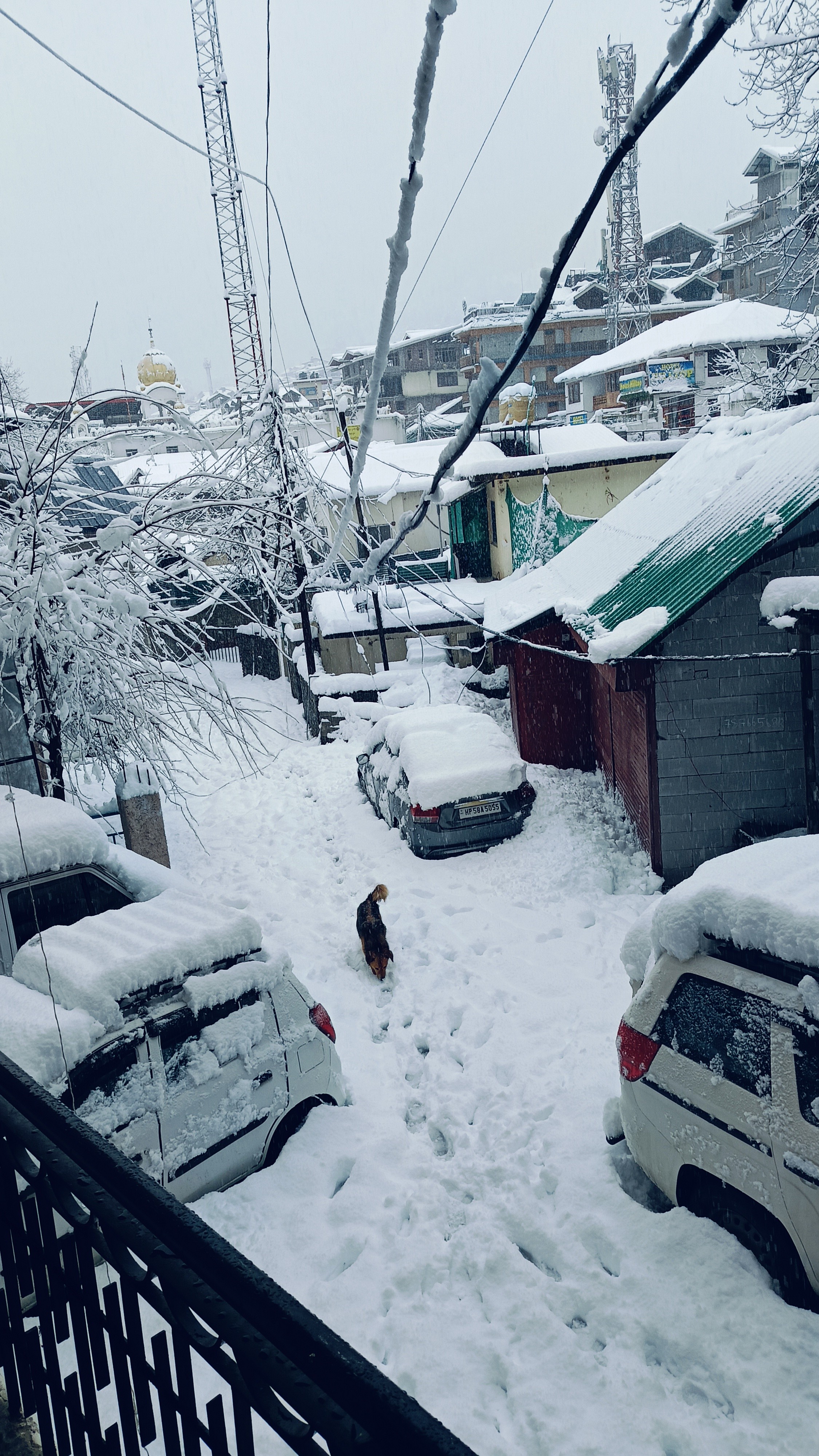 LUCIFER Profile Picture