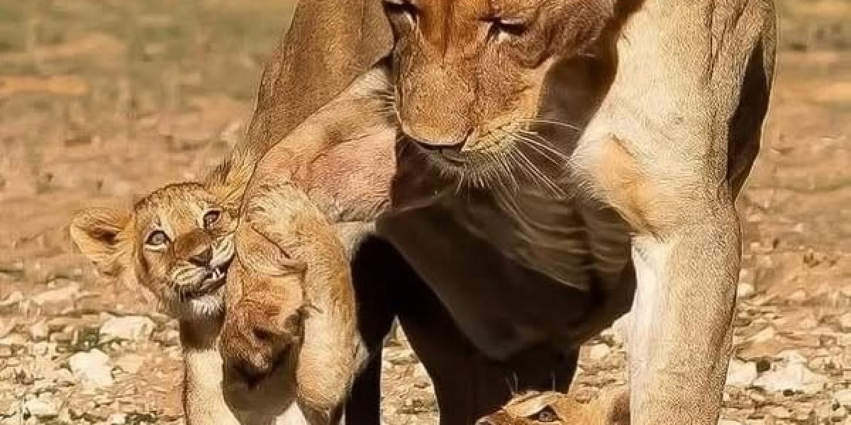 Yankees 2025 Winter season Conferences Rumors: Working day 2