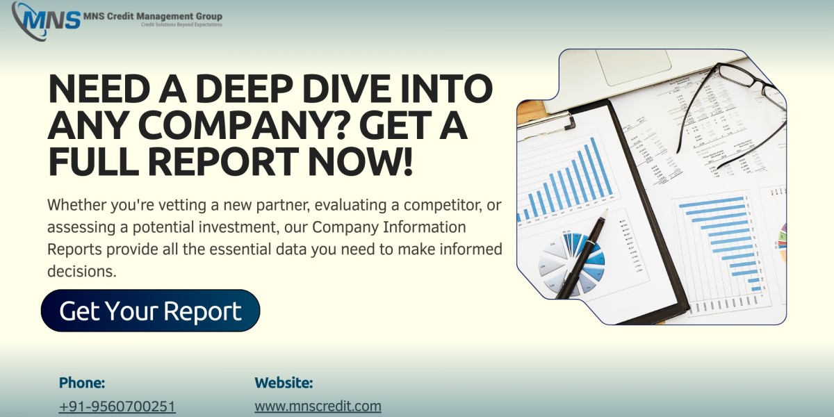 Everything You Need to Know About Due Diligence Reports