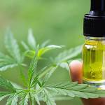 parsa Profile Picture