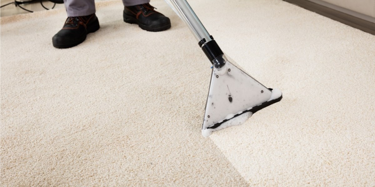 Carpet Care That Truly Refreshes Your Home